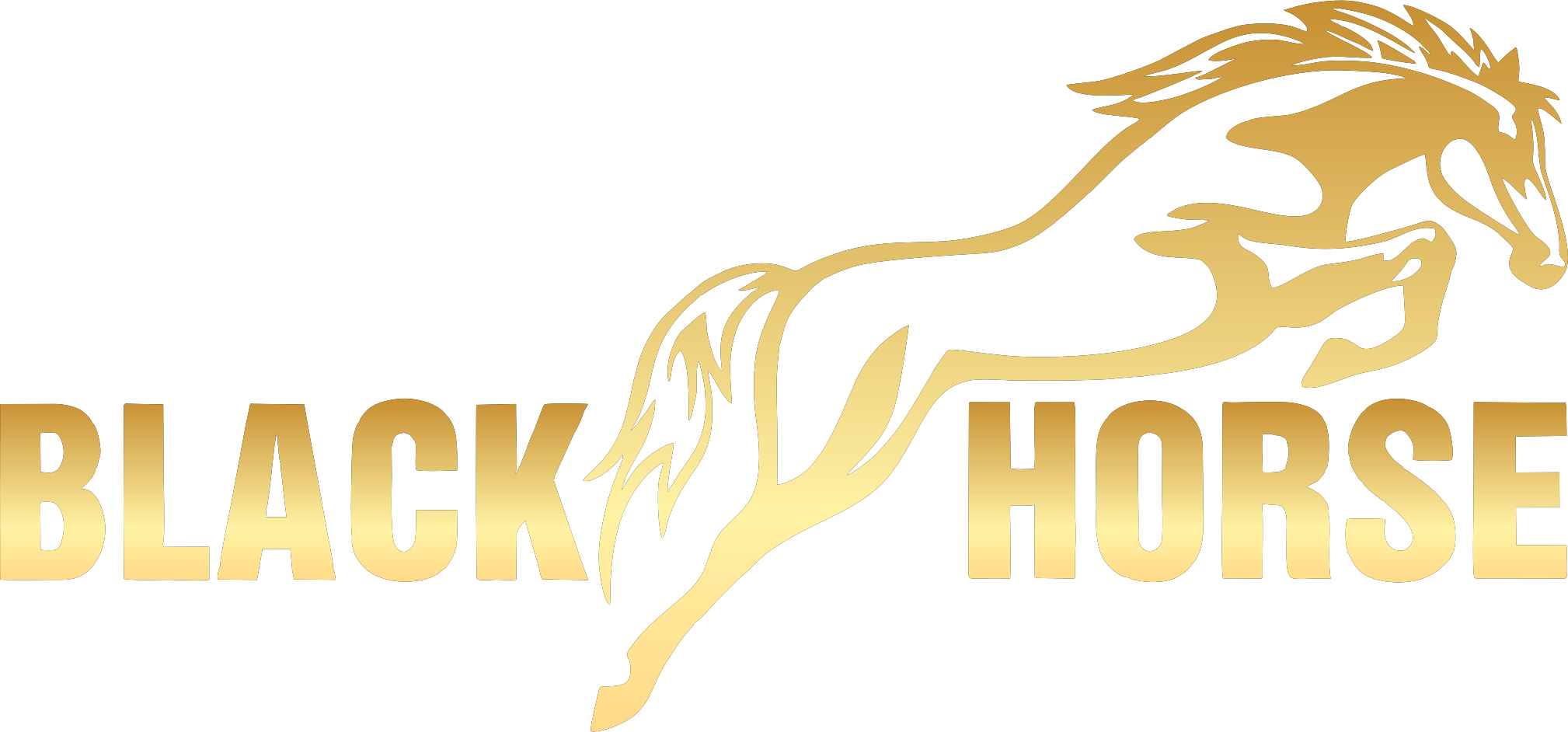 BLACK HORSE
